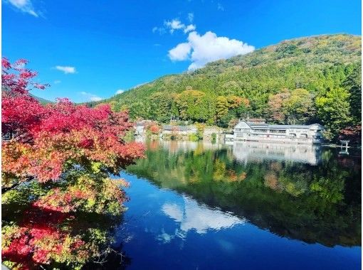 湯布院之旅，世界第一溫泉小鎮。我們將為您介紹適合您步行或乘坐出租車的路線。溫泉、散步、咖啡廳、神社、蒸菜の画像