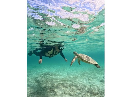 [Okinawa, Miyakojima] Private tour for one group! Let's go see sea turtles and clownfish! Snorkeling tour!の画像