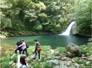 【鹿児島・奄美大島】1day・Bコース・マテリアの滝＆マングローブカヌーツーリング