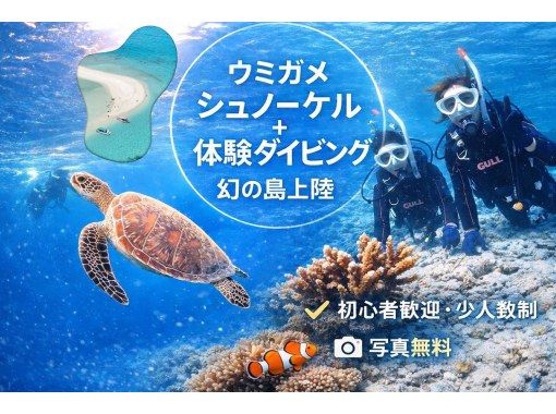 【石垣島・7時間】初心者専門｜幻の島上陸&体験ダイビング&大人気ウミガメに会いに行く【写真無料&動画プレゼント】の画像