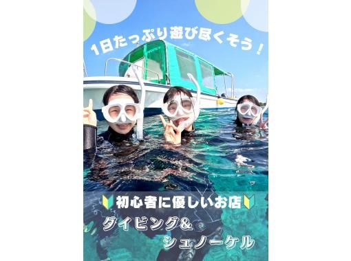 【石垣島・1日】「スーパーサマーセール2024」初めての海を贅沢に！初心者向け体験ダイビング＆ウミガメシュノーケルー極上プラン【撮影無料】の画像
