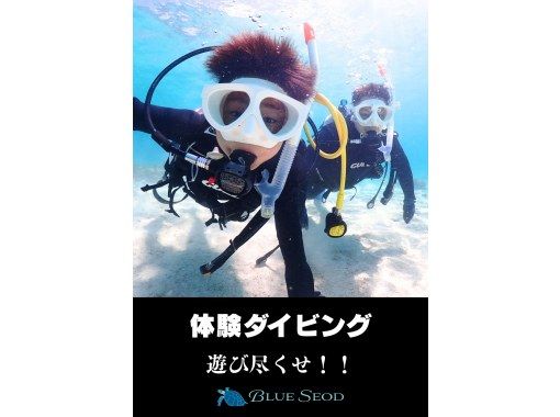 【石垣島・7時間】初心者向け｜幻の島上陸｜体験ダイビング&ウミガメシュノーケル｜1日たっぷり石垣島を遊び尽くそう【写真無料、送迎無料】の画像