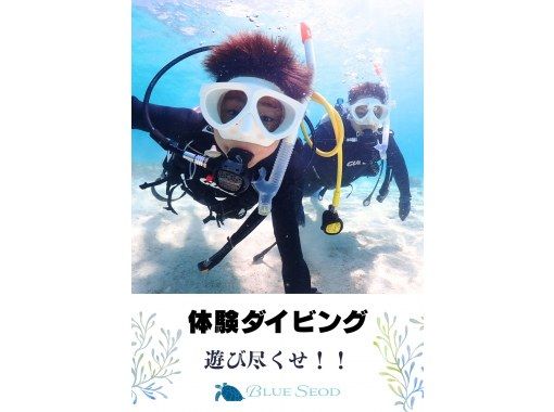 【石垣島・7時間】初心者向け｜幻の島上陸｜体験ダイビング&ウミガメシュノーケル｜1日たっぷり石垣島を遊び尽くそう【写真無料、送迎無料】の画像