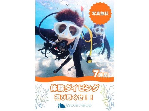 【石垣島・7時間】初心者向け｜幻の島上陸｜体験ダイビング&ウミガメシュノーケル｜1日たっぷり石垣島を遊び尽くそう【写真無料、送迎無料】の画像