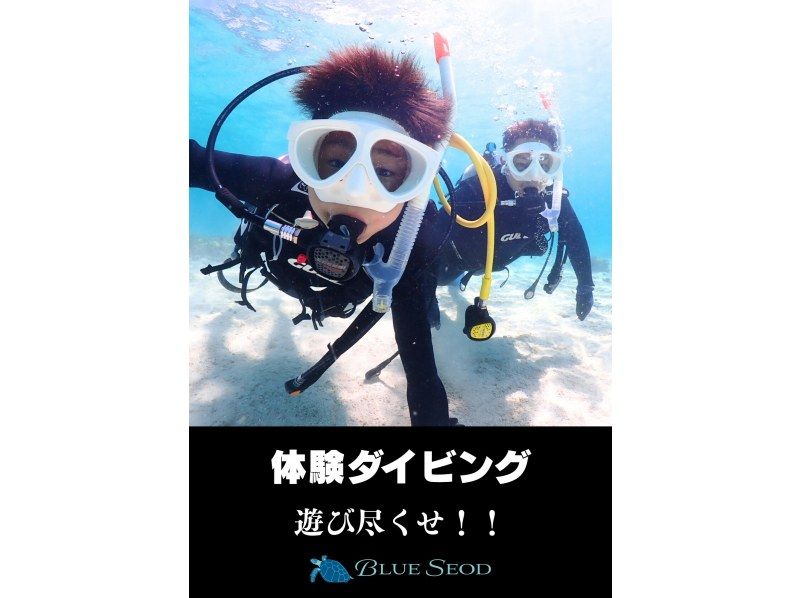 【石垣島・7時間】初心者向け｜幻の島上陸｜体験ダイビング&ウミガメシュノーケル｜1日たっぷり石垣島を遊び尽くそう【写真無料、送迎無料】の紹介画像