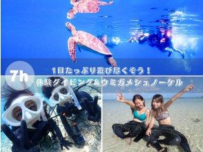 【石垣島・1日】初心者向け体験ダイビング&高確率でウミガメに会えるー1日たっぷり遊び尽くそう【幻の島上陸プラン】【写真プレゼント】