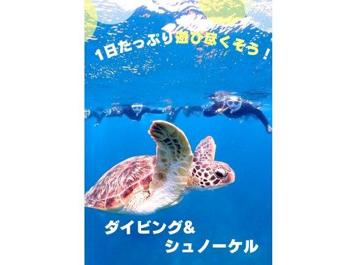 学生応援価格あり！【石垣島・1日】初心者向け体験ダイビング☆大人気☆幻の島＆高確率でウミガメに会えるー1日たっぷり遊び尽くそう〜ランチ付き〜の画像