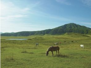 [熊本/阿苏]在阿苏山享用赤牛汉堡午餐和绝景景点草千里の画像