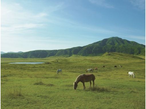 [熊本/阿苏]路线巴士之旅_风景名胜草千里和阿苏山，午餐为赤牛汉堡牛排の画像