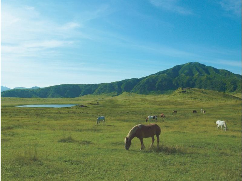 478 [Kumamoto/Aso] Route bus trip: Scenic spots Kusasenri and Mount Aso with Akagyu beef hamburger lunchの紹介画像