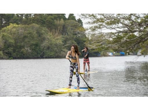 [Topical SUP River Cruise at Isumi River, Isumi City, Chiba Prefecture] You can enjoy SUP cruising in nature from one person to a familyの画像