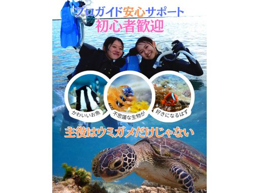 【沖縄 糸満から約10分】初心者大歓迎『海のテーマパーク・天然水族感』ウミガメ＆100種以上を探索する自然体験シュノーケリング｜送迎可｜の画像