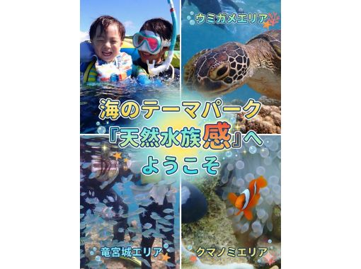【沖縄 糸満から約15分】初心者大歓迎『海のテーマパーク・天然水族感』ウミガメ＆100種以上の生物を探索する自然体験シュノーケリング｜送迎可の画像