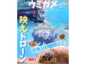 那覇から約30分ｌ当日・直前予約OKｌ【送迎可・初心者向け・3～70歳】☆100種類以上お魚＆ウミガメがいる天然水族館ツアー☆