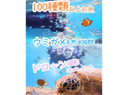 【☆送迎可・初心者向け・3～70歳可☆】ウミガメ・クマノミがいる天然水族館ツアー（ジョン万ビーチ）プロガイドが案内するシュノーケリング☆の画像