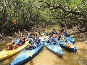 【鹿児島・奄美大島】完全ガイド付き・マングローブカヌー体験・通年楽しめる魅力満載の2時間！