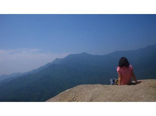 【鹿児島・屋久島】白谷雲水峡の絶景！太鼓岩を目指す一日トレッキングコース初心者OK！の画像