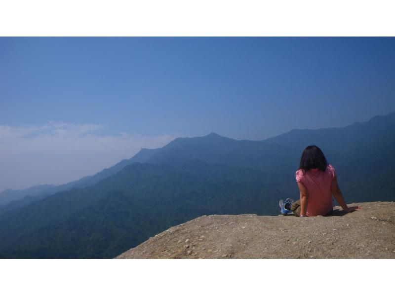 【鹿児島・屋久島】白谷雲水峡の絶景！太鼓岩を目指す一日トレッキングコース初心者OK！