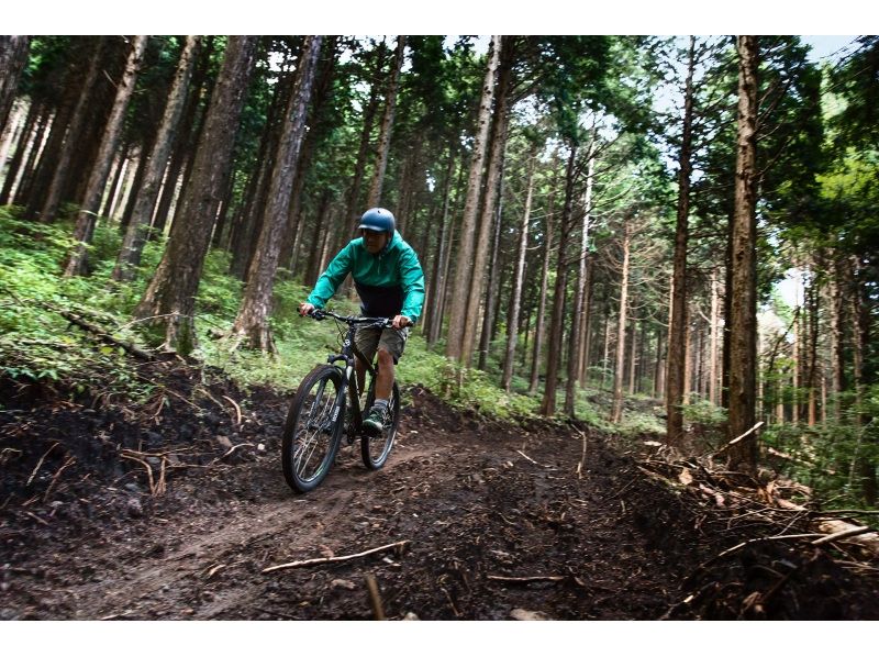 Hakone Wild The Trail Cruising Course Mtb Activityjapan