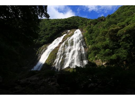 【鹿児島・屋久島　超人気！】島一周パワースポット、自然遺産、観光地巡りツアー！　５～６時間プラン　帰郷日にも最適の画像