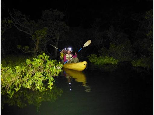 【沖縄・今帰仁】ナイトカヤック 湧き水散策なし 夜のマングローブ探検 2時間コースの画像