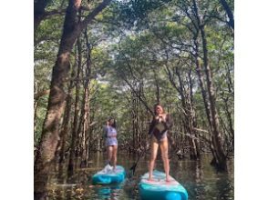 ⭐︎Fully-private tour⭐︎《Reservations on the day OK》Maximum relaxation! Mangrove SUP✨I'm glad I came here! I'm confident✨の画像