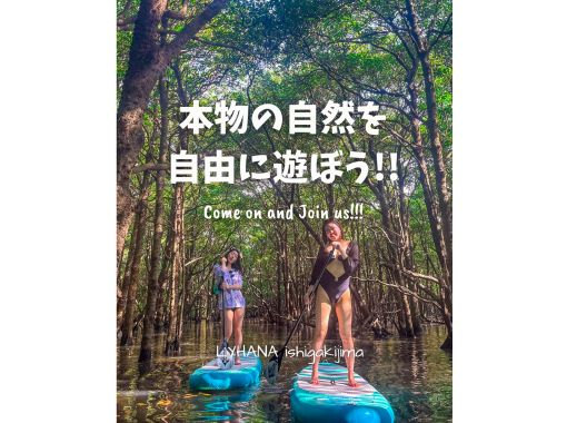 [Ishigaki Island] ★Private tour limited to one group★《Maximum relaxation! Mangrove SUP》I'm glad I came here! I'm confident that you'll say this✨の画像