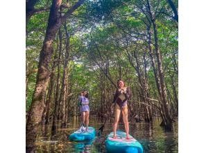 [Ishigaki Island] Super Summer Sale ★ Private tour limited to one group ★ Relaxation MAX! Mangrove SUP ✨ I'm glad I came here! I'm confident that you'll say ✨