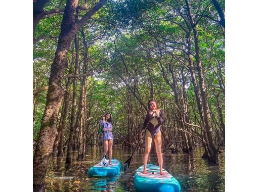 SALE! [Ishigaki Island] ★Limited to one group, private tour★《Maximum relaxation! Mangrove SUP》I'm glad I came here! I'm confident that you'll say this✨の画像