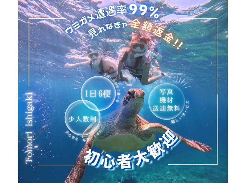 SALE!【石垣島】☆ウミガメ見れなきゃ全額返金☆シュノーケリング『少人数制で初心者大歓迎』体験時間1.5時間(写真データ・機材・送迎無料) |  アクティビティジャパン