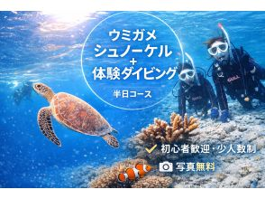 【石垣島・午前、午後2便・3時間】旅行日程に合わせやすい｜初心者向け｜専属ガイドがご案内｜体験ダイビング&ウミガメシュノーケル【写真無料】