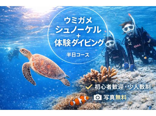 【石垣島・午前、午後2便・3時間】旅行日程に合わせやすい｜初心者向け｜専属ガイドがご案内｜体験ダイビング&ウミガメシュノーケル【写真無料】の画像