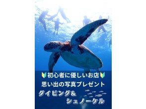SALE！【石垣島・午後】ウミガメに出会える☆シュノーケル&体験ダイビングセットー観光も楽しみたい方必見！写真プレゼント