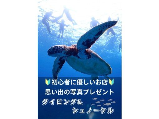 SALE！【石垣島・午後】ウミガメに出会える☆シュノーケル&体験ダイビングセットー観光も楽しみたい方必見！写真プレゼントの画像