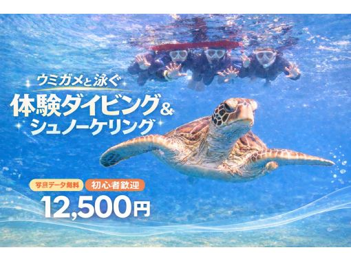 【石垣島・午前、午後2便・3時間】旅行日程に合わせやすい｜初心者向け｜専属ガイドがご案内｜体験ダイビング&ウミガメシュノーケル【写真無料】の画像