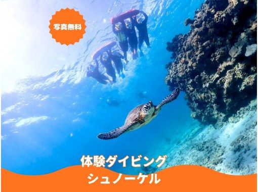 【石垣島・午前、午後2便・3時間】旅行日程に合わせやすい｜初心者向け｜専属ガイドがご案内｜体験ダイビング&ウミガメシュノーケル【写真無料】の画像