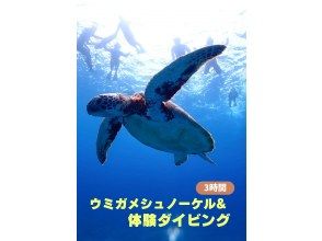 【学生応援価格あり】【石垣島・午後】☆午後からのセットプラン☆初心者向け体験ダイビング&ウミガメと泳ぐー写真無料