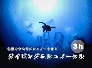 SALE！【石垣島・午後】初心者でも安心！ウミガメシュノーケル&体験ダイビングセットー観光も楽しみたい方必見！写真プレゼント