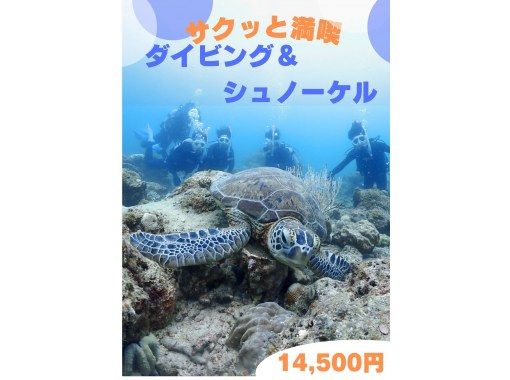 SALE！【石垣島・午後】☆インストラクターが安心サポート☆ウミガメシュノーケル&初心者向け体験ダイビングー午前中に到着する方におすすめ！の画像