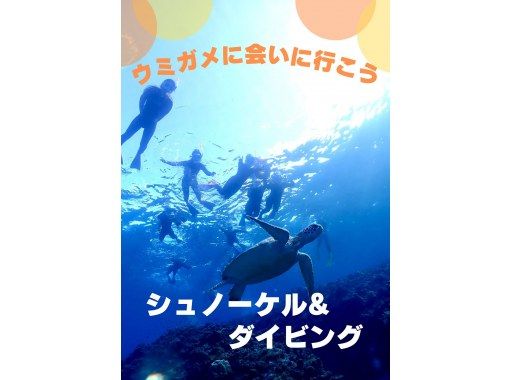 冬季割！【石垣島・午後】☆インストラクターが安心サポート☆ウミガメシュノーケル&初心者向け体験ダイビングー午前中に到着する方におすすめ！の画像