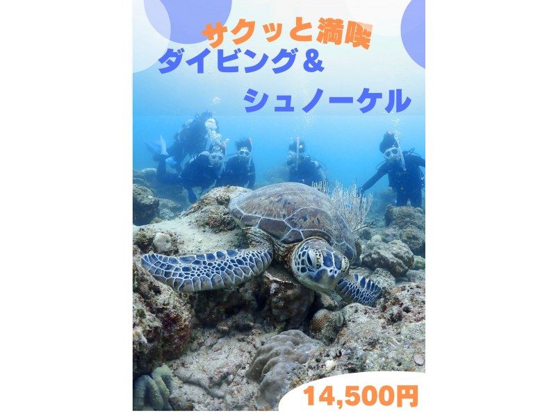 SALE！【石垣島・午後】☆インストラクターが安心サポート☆ウミガメシュノーケル&初心者体験ダイビングー観光も楽しみたい方必見！の紹介画像