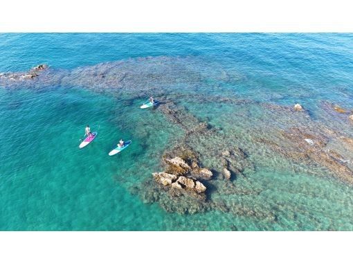 【千葉・南房総】初心者大歓迎！好アクセス！愛犬と感じる海の上の特別な時間。透明度の高い海でDOG SUP体験の画像