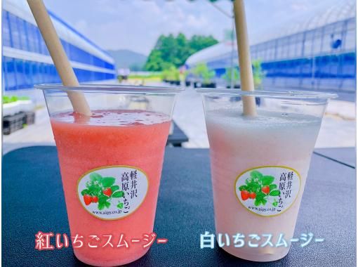 https://img.activityjapan.com/10/48636/10000004863601_YnWpuoOl_3.jpg?version=1687568281