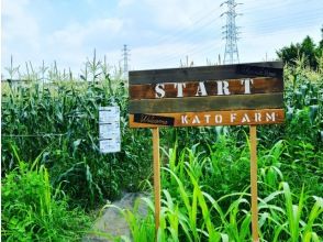 約1万5000本の巨大とうもろこし迷路＆直売所お買物めぐりバスツアー【ようこそ練馬ぶらり旅】【P018814】