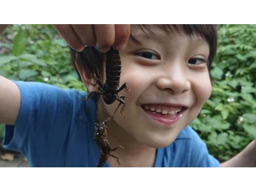 [Tokyo/Chofu] *Family-friendly * From 9:00 AM, 13:00 PM - 6 types of dragonfly hunting tour (free rental of electric bicycle stupid boots with front and rear child seats)の画像
