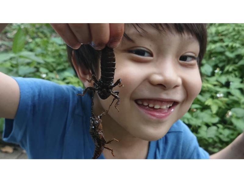 [Tokyo/Chofu] *Family-friendly * From 9:00 AM, 13:00 PM - 6 types of dragonfly hunting tour (free rental of electric bicycle stupid boots with front and rear child seats)の紹介画像