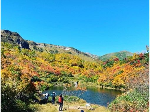 [Hokkaido Sounkyo] Go with a professional guide Taisetsu Kogen Onsen swamp tour Autumn leaves trekking tour from Asahikawaの画像