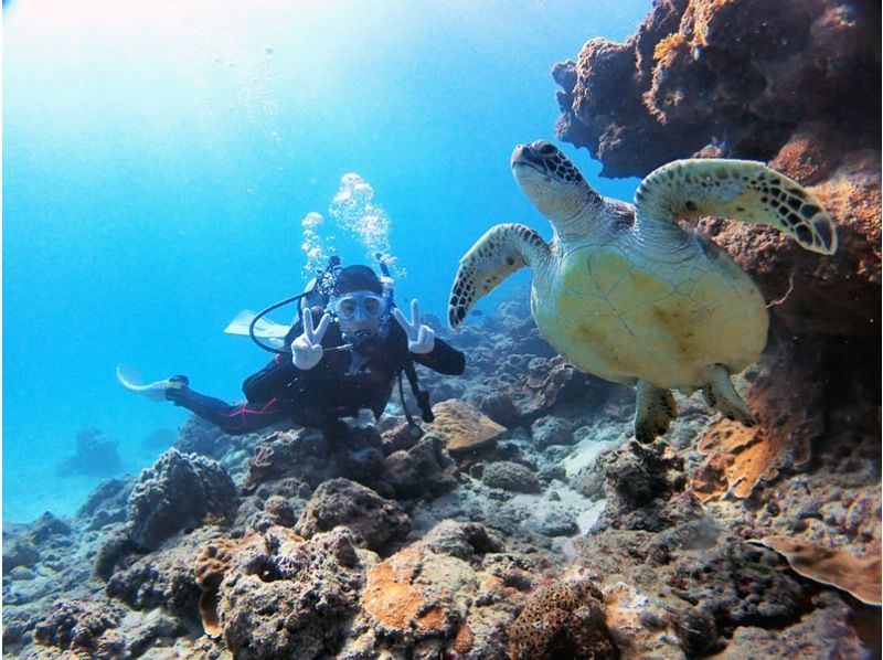 [Kagoshima/Yakushima] Enjoy experience diving! "Half-day 2 dive course" with photo shooting ・Beginners and one person welcome♪の紹介画像
