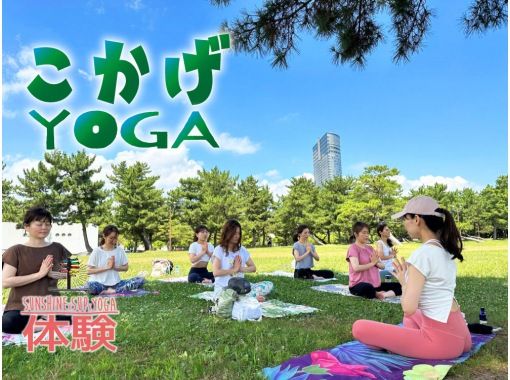 [Shiga/Lake Biwa] Shade yogaの画像