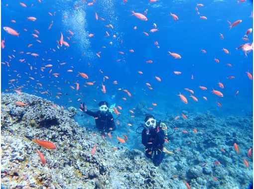 初心者専門店の１日コース♪【石垣島・体験ダイビング】体験ダイビングとウミガメシュノーケリングの１日満喫プラン。追加で＋1dive可能の画像